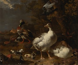 Geese and Ducks, 1680 by Melchior d'Hondecoeter | Giclée Canvas Print