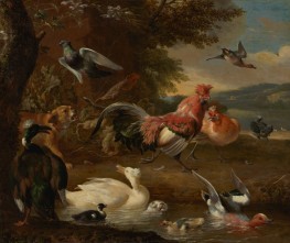 Chickens and Ducks, c. 1680 by Melchior d'Hondecoeter | Giclée Canvas Print