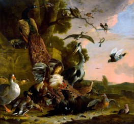The Raven Robbed of the Feathers with Which He ..., 1677 by Melchior d'Hondecoeter | Giclée Canvas Print