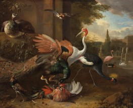 A Peacock Attacking a Rooster, a.1668 by Melchior d'Hondecoeter | Giclée Canvas Print