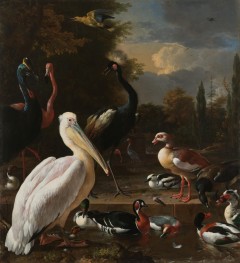 A Pelican and other Birds near a Pool (The ..., 1680 by Melchior d'Hondecoeter | Giclée Canvas Print