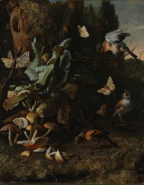 Forest Floor Still Life with Birds, Butterflies ..., c.1668 by Melchior d'Hondecoeter | Giclée Canvas Print
