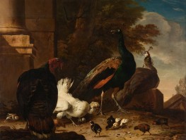 A Hen with Peacocks and a Turkey, c.1680 by Melchior d'Hondecoeter | Giclée Canvas Print