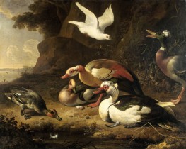 Ducks, c.1675/80 by Melchior d'Hondecoeter | Giclée Canvas Print