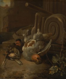 Dead Birds, c.1660/65 by Melchior d'Hondecoeter | Giclée Canvas Print