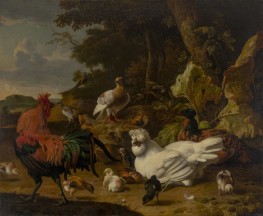 Chicken Yard, n.d. by Melchior d'Hondecoeter | Giclée Canvas Print