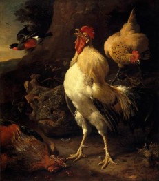Victorious Cockerel, n.d. by Melchior d'Hondecoeter | Giclée Canvas Print