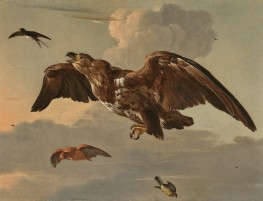 Ein Adler, eine Schwalbe, eine Schnepfe und ein ..., c.1650/60 von Melchior d'Hondecoeter | Giclée Leinwand-Kunstdruck