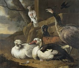 Hofgeflügel, c.1636/95 von Melchior d'Hondecoeter | Giclée Leinwand-Kunstdruck