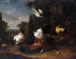 A Cock Fight, c.1685/86 | Melchior d'Hondecoeter