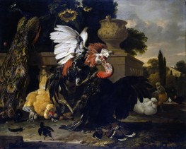 Fight Between a Rooster and a Turkey, 1668 by Melchior d'Hondecoeter | Giclée Canvas Print