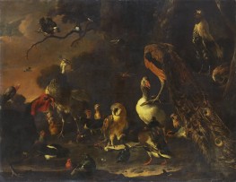 Das Vogelkonzert, n.d. | Melchior d'Hondecoeter