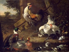 Poultry, n.d. | Melchior d'Hondecoeter