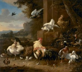 The Poultry Yard, n.d. | Melchior d'Hondecoeter