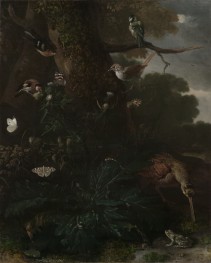 Animals and Plants of the Forest, c.1670/80 by Melchior d'Hondecoeter | Giclée Canvas Print
