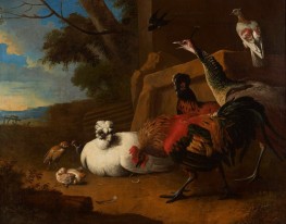 The Poultry Yard, 1680 by Melchior d'Hondecoeter | Giclée Canvas Print