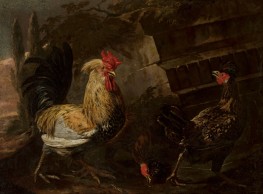 Rooster and Hens, n.d. by Melchior d'Hondecoeter | Giclée Canvas Print
