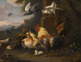 An Eagle, a Cockerell, Hens, a Pigeon in Flight ..., n.d. by Melchior d'Hondecoeter | Giclée Canvas Print