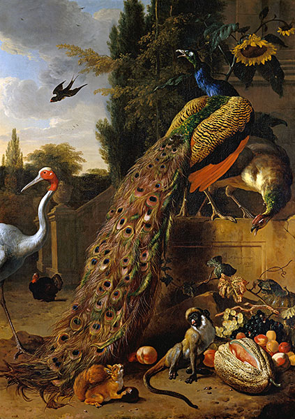 Peacocks, 1683 | Melchior d'Hondecoeter | Giclée Canvas Print