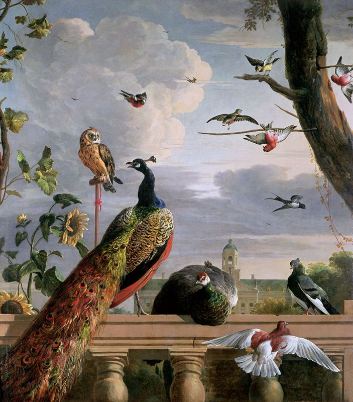 Palace of Amsterdam with Exotic Birds, n.d. | Melchior d&#039;Hondecoeter | Giclée Canvas Print