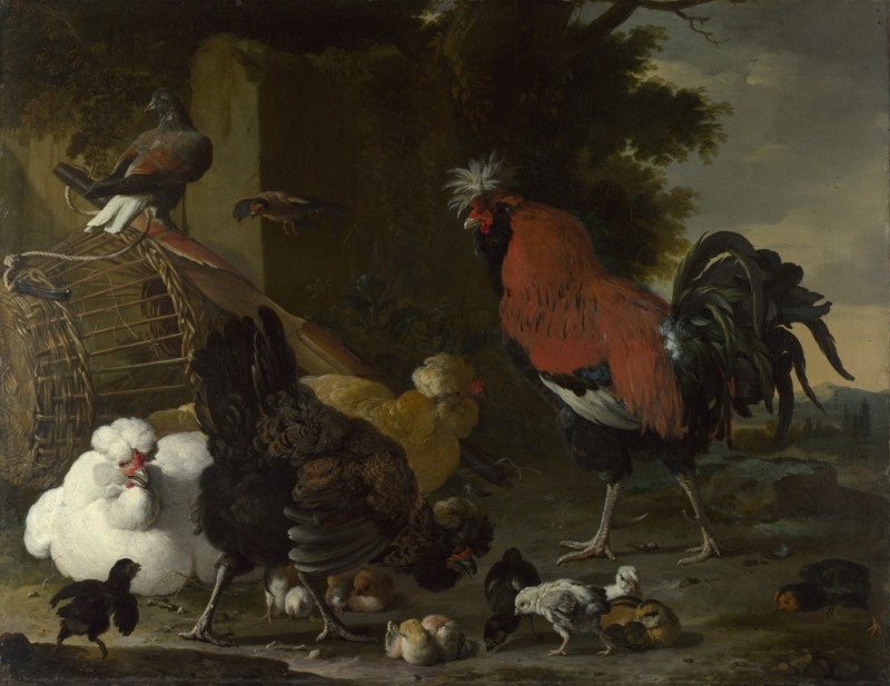 A Cock, Hens and Chicks, c.1668/70 | Melchior d'Hondecoeter | Giclée Canvas Print