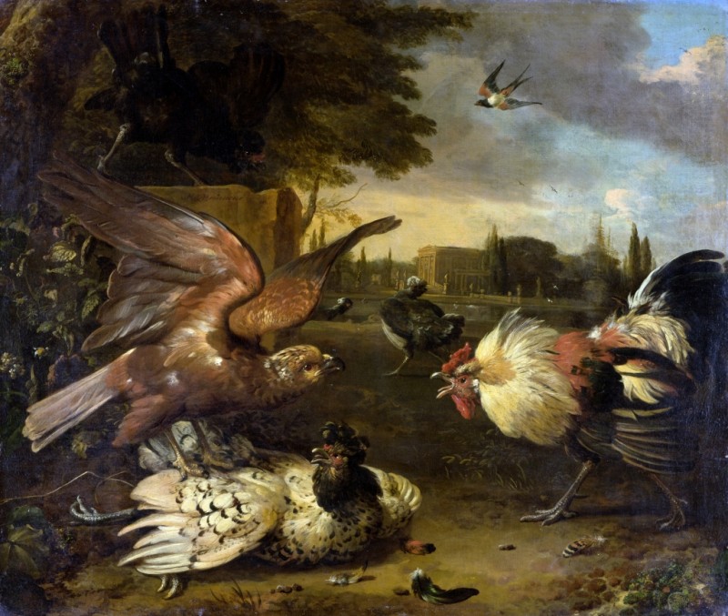 Ein Hahn verteidigt eine von einem Falken geschlagene Henne, c.1680/90 | Melchior d'Hondecoeter | Giclée Leinwand-Kunstdruck