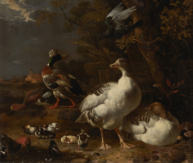 Geese and Ducks, 1680 | Melchior d'Hondecoeter | Giclée Canvas Print