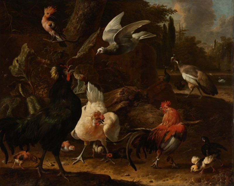Birds in a Park, 1686 | Melchior d'Hondecoeter | Giclée Canvas Print