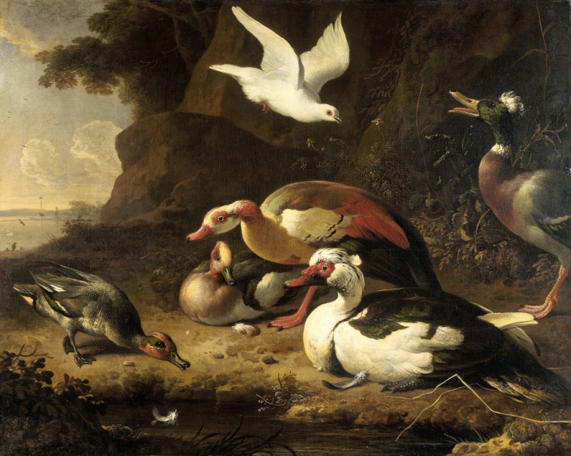 Ducks, c.1675/80 | Melchior d'Hondecoeter | Giclée Canvas Print