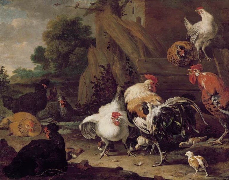 Hühner, c.1636/95 | Melchior d'Hondecoeter | Giclée Leinwand-Kunstdruck