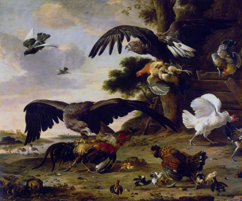 Eagle Attacking Hens, 1673 | Melchior d'Hondecoeter | Giclée Canvas Print