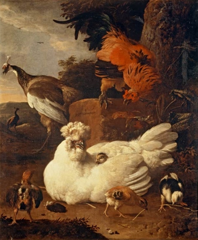 Mother Hen with Chicks and a Peacock, c.1680 | Melchior d'Hondecoeter | Giclée Canvas Print