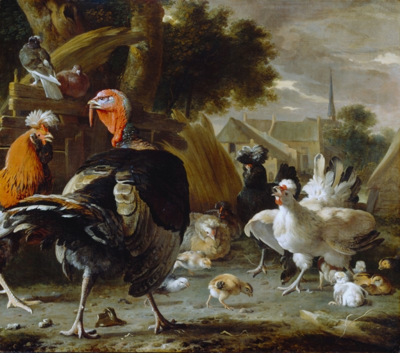 Poultry Yard, 1668 | Melchior d'Hondecoeter | Giclée Canvas Print