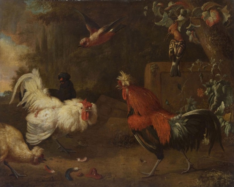 A Rooster and a Hen Fighting, n.d. | Melchior d'Hondecoeter | Giclée Canvas Print