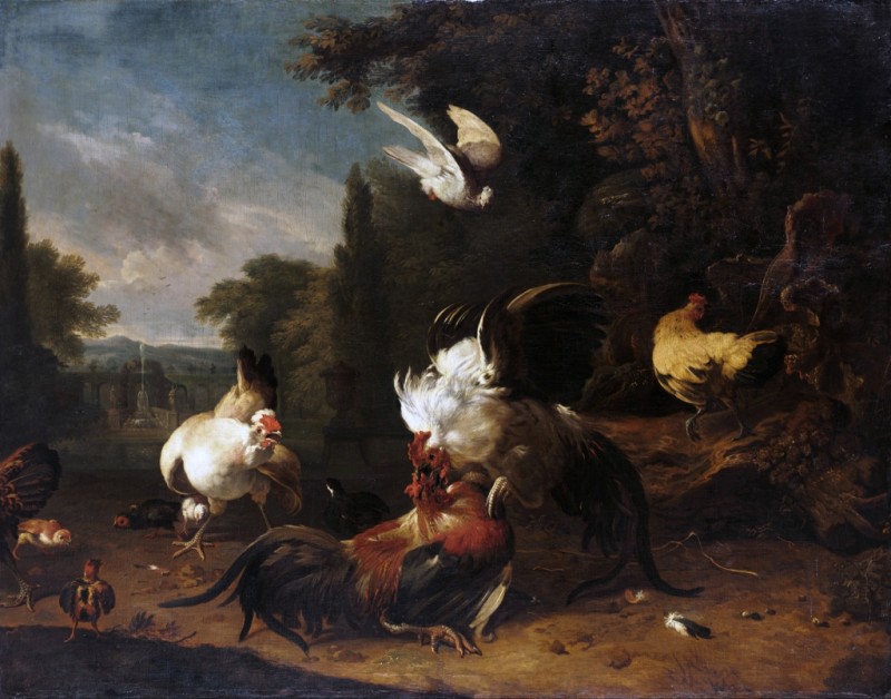 A Cock Fight, c.1685/86 | Melchior d'Hondecoeter | Giclée Canvas Print