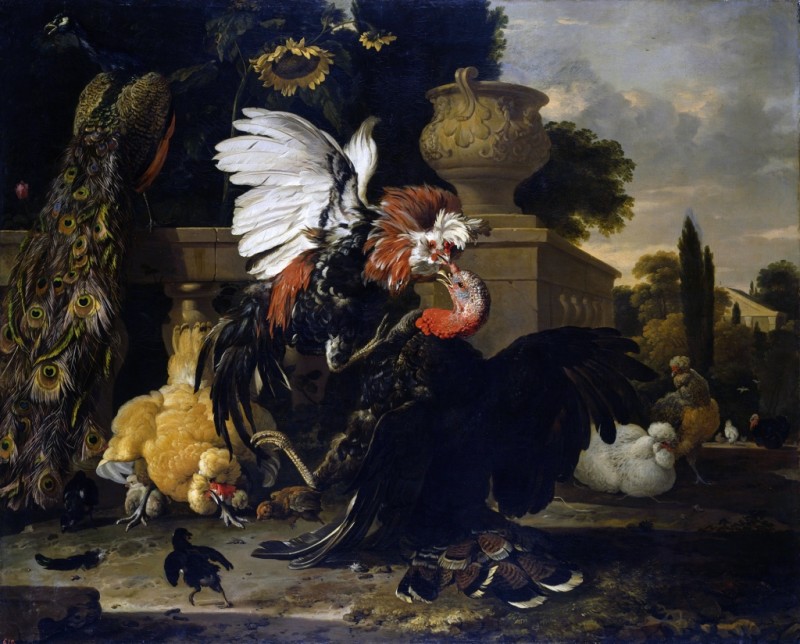 Fight Between a Rooster and a Turkey, 1668 | Melchior d'Hondecoeter | Giclée Canvas Print