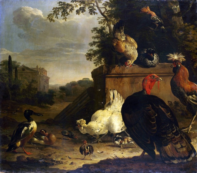 Die weiße Henne mit Küchlein, n.d. | Melchior d'Hondecoeter | Giclée Leinwand-Kunstdruck