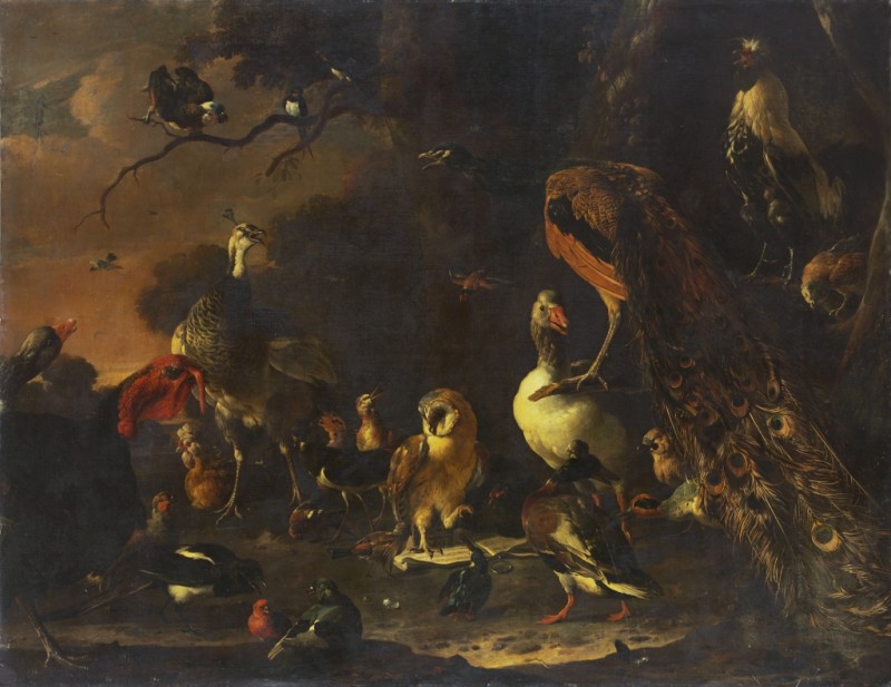Das Vogelkonzert, n.d. | Melchior d'Hondecoeter | Giclée Leinwand-Kunstdruck