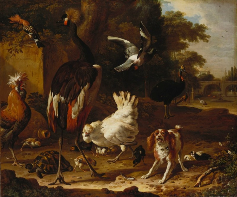 Birds and a Spaniel in a Garden, c.1660/95 | Melchior d'Hondecoeter | Giclée Canvas Print