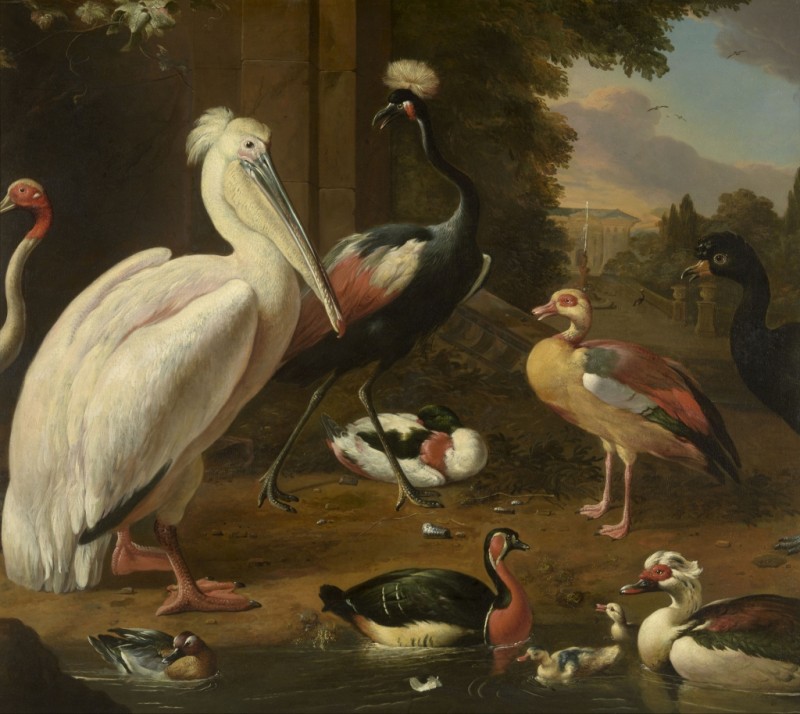 Wassservögel, 1685 | Melchior d'Hondecoeter | Giclée Leinwand-Kunstdruck