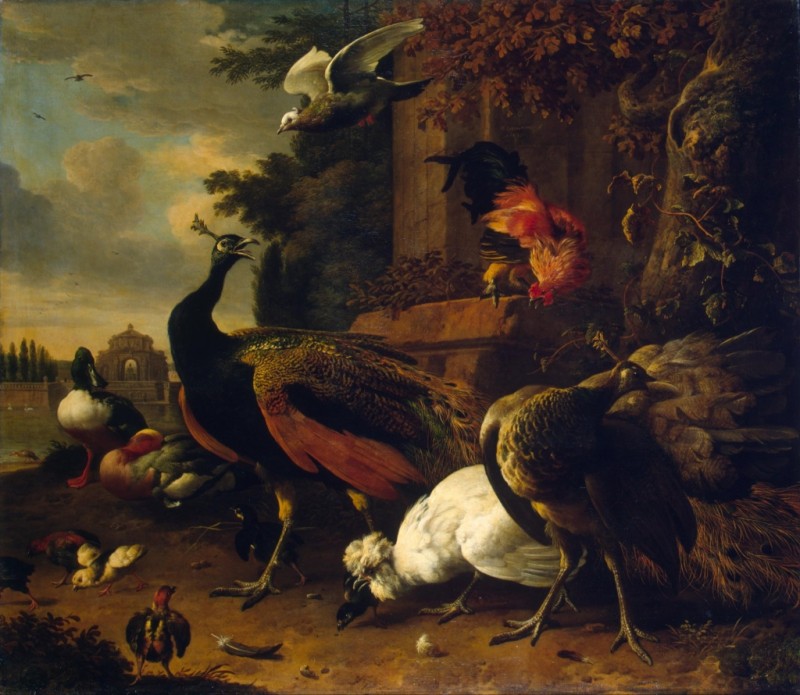 Vögel im Park, 1686 | Melchior d'Hondecoeter | Giclée Leinwand-Kunstdruck
