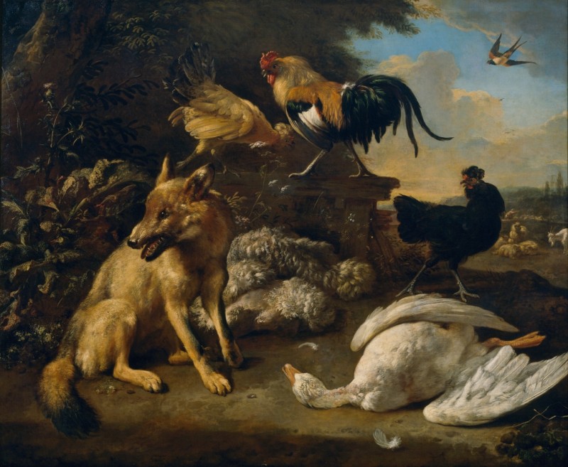 Stilleben mit Tieren, c.1680/90 | Melchior d'Hondecoeter | Giclée Leinwand-Kunstdruck