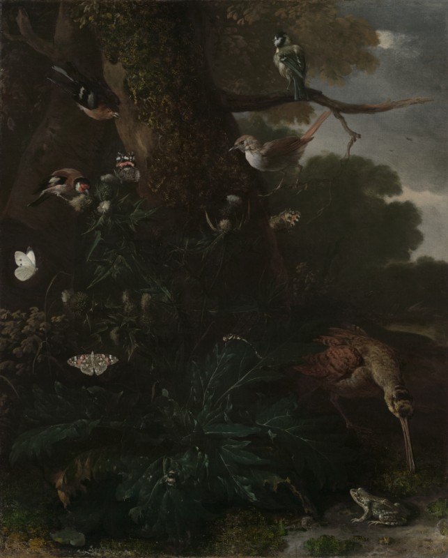 Animals and Plants of the Forest, c.1670/80 | Melchior d'Hondecoeter | Giclée Canvas Print