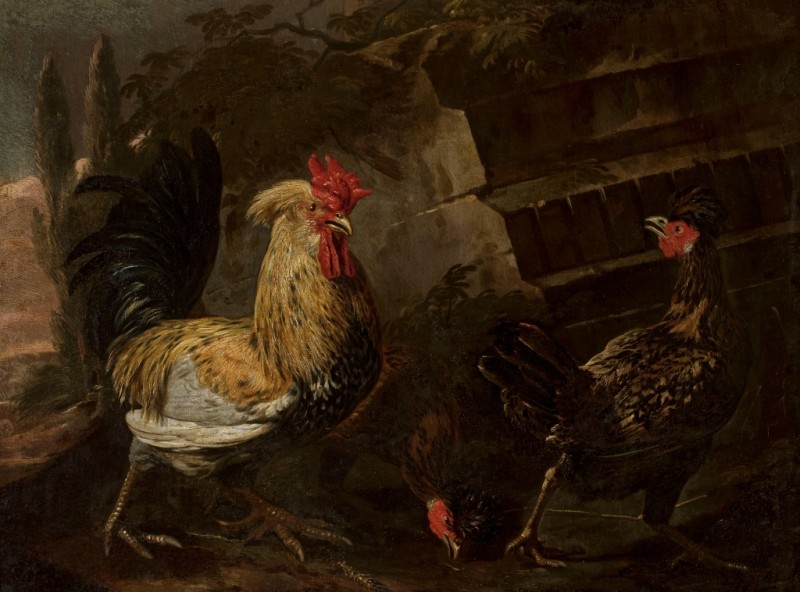 Rooster and Hens, n.d. | Melchior d'Hondecoeter | Giclée Canvas Print