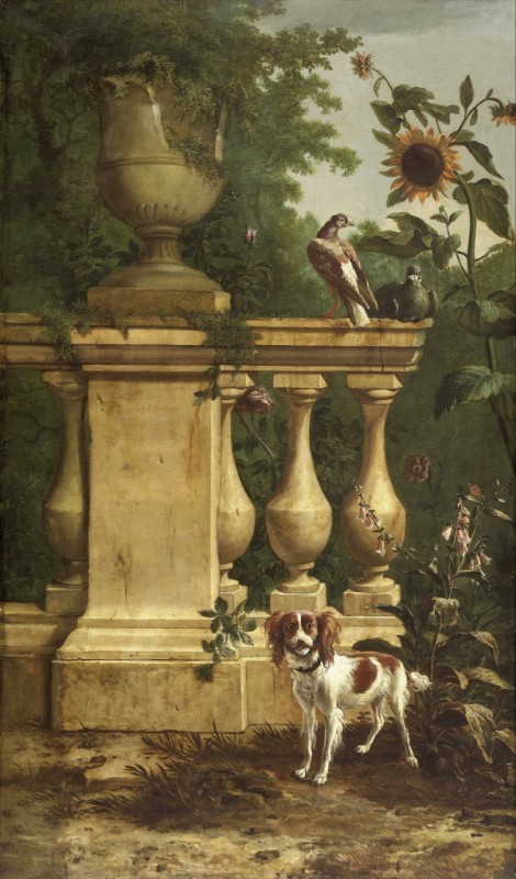Tauben und ein Hund in einem Garten, n.d. | Melchior d'Hondecoeter | Giclée Leinwand-Kunstdruck