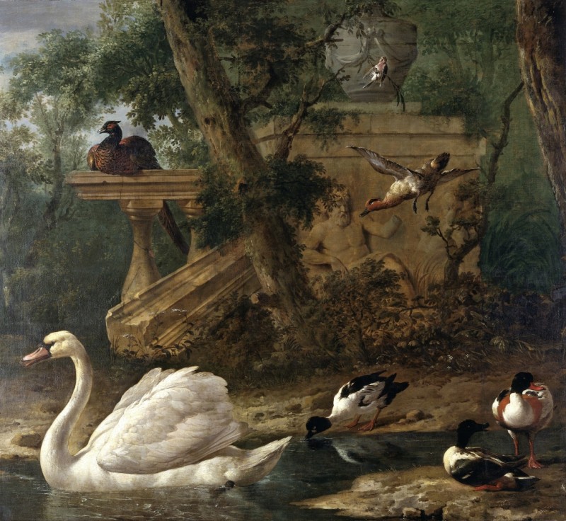 Vögel in einem Garten, n.d. | Melchior d'Hondecoeter | Giclée Leinwand-Kunstdruck