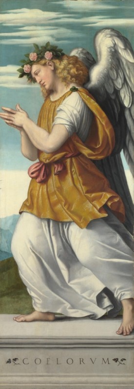 An Adoring Angel by Moretto da Brescia, after 1540 - canvas print