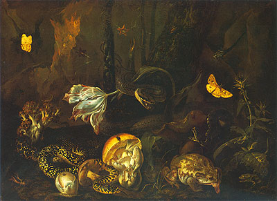 Stillleben mit Insekten und Amphibien, 1662 | Otto Marseus van Schrieck | Giclée Leinwand Kunstdruck