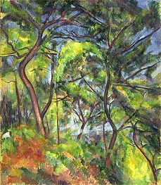 Forest Sous-Bois, c.1894 von Cezanne | Leinwand Kunstdruck