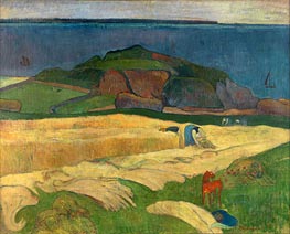 Seaside Harvest, Le Pouldu, 1890 von Gauguin | Leinwand Kunstdruck